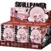 New SKULLPANDA Winter Symphony Series Sealed Case (6 Blind Box) - US Pop Mart